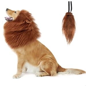 Dogs lion costume